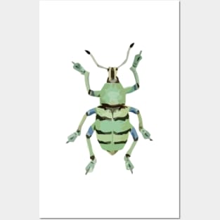 Papuan Green Weevil Digital Painting Posters and Art